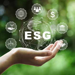 Understanding ESG and its Vital Role